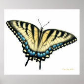 Poster Papillon Tiger Swallowtail Print (Devant)