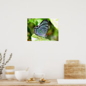 Poster Papillon transparent bleu, Costa Rica (Cuisine)