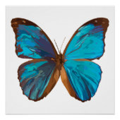 Poster Papillon Tropical Blue et Turquoise Gem (Devant)