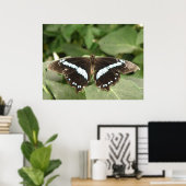 Poster Papillon tropical noir et blanc (Bureau à domicile)
