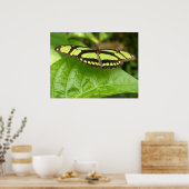Poster papillon vert (Cuisine)