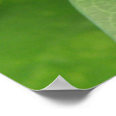 Poster Papillon vert Iridescente tropicale (Coin)