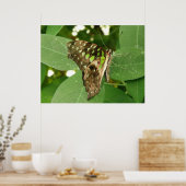 Poster Papillon vert Iridescente tropicale (Cuisine)