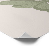 Poster Papillon vert Mur Art Sage Art Vert Imprimer (Coin)