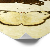 Poster Papillon vintage 187 (Coin)