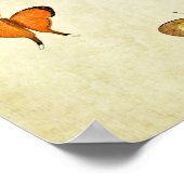 Poster Papillon vintage 331 (Coin)