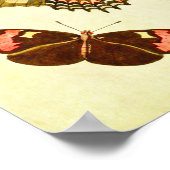 Poster Papillon vintage 350 (Coin)