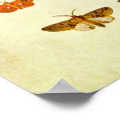 Poster Papillon vintage 358 (Coin)