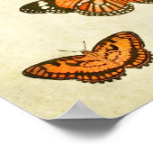 Poster Papillon vintage 375 (Coin)