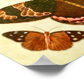 Poster Papillon vintage 387 (Coin)