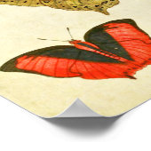 Poster Papillon vintage 388 (Coin)