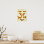 Poster Papillon vintage 395 (Cuisine)