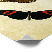 Poster Papillon vintage imprimé 190 (Coin)