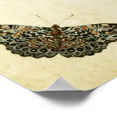 Poster Papillon vintage imprimé 192 (Coin)