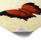 Poster Papillon vintage imprimé 195 (Coin)