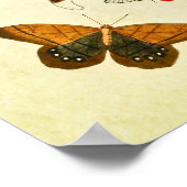 Poster Papillon vintage imprimé 198 (Coin)