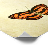 Poster Papillon vintage imprimé 256 (Coin)
