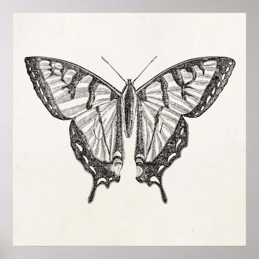 Poster Papillon vintage Papillon personnalisé Insectes (Devant)