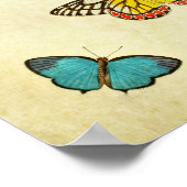 Poster Papillon vintage Print 201 (Coin)