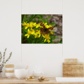 Poster Papillon virgule dans le parc national de Glacier (Cuisine)