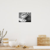 Poster Papillon Visage Nature Noir Et Blanc (Cuisine)