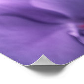 Poster Papillon Visite des fleurs d'orchidées roses et vi (Coin)