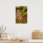 Poster papillon zèbre (Cuisine)