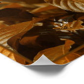 Poster Papillon zébrée à longe sur fleur (Coin)