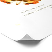 Poster Papillons (Coin)