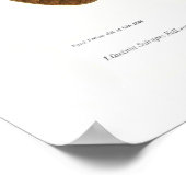 Poster Papillons (Coin)