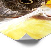 POSTER PAPILLONS (Coin)