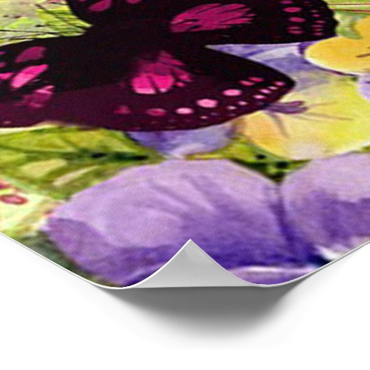 Poster Papillons (Coin)