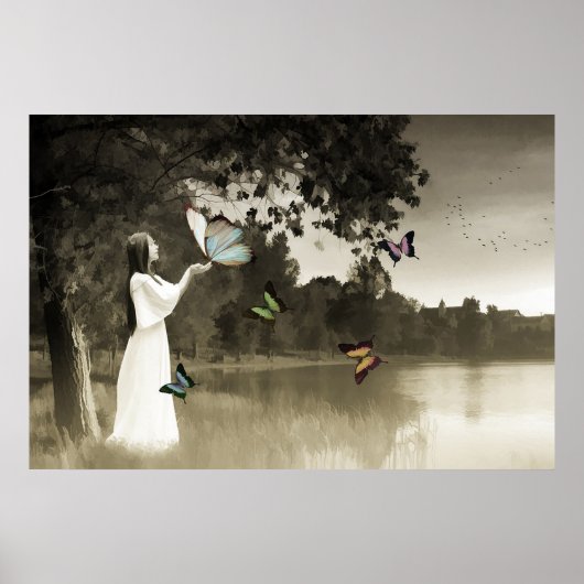 Poster Papillons (Devant)