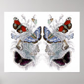 Poster papillons (Devant)