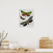 Poster Papillons 4 (Cuisine)