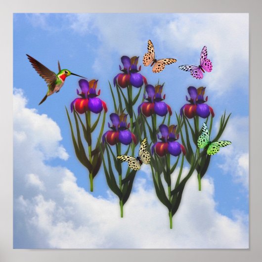 Poster Papillons à colibris Iris Fleurs (Devant)