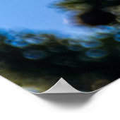 Poster Papillons à quatre monarques (Coin)