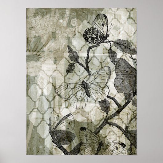 Poster Papillons arabes II (Devant)