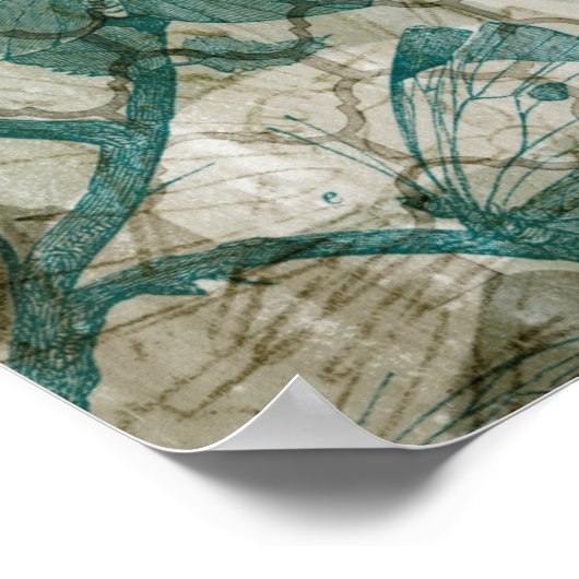 Poster Papillons arabes V (Coin)