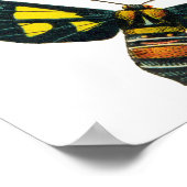 Poster Papillons Beetle Bugs Insectes Collage Art (Coin)