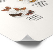 Poster Papillons - Bibliothèque du naturaliste (Coin)