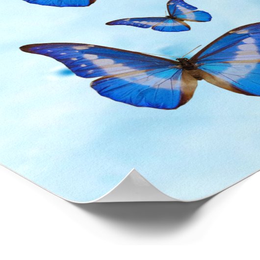 Poster Papillons bleus (Coin)