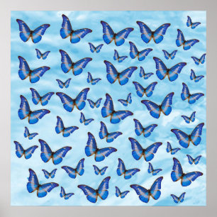 Poster Papillons bleus