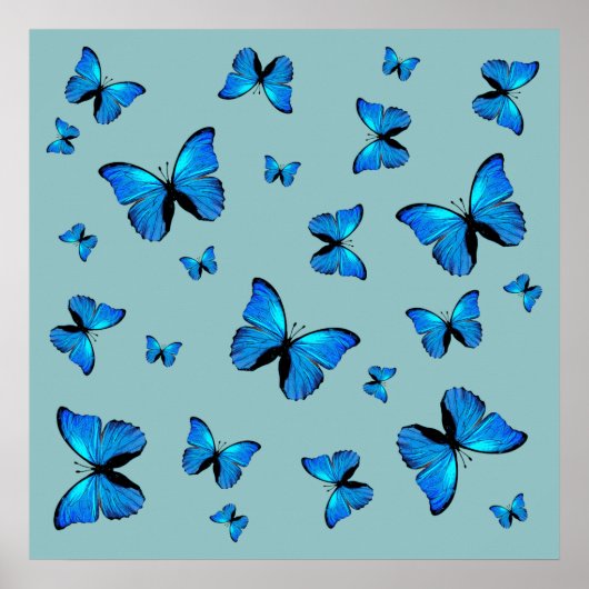 Poster Papillons bleus (Devant)