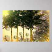 Poster Papillons dans une bulle (Devant)