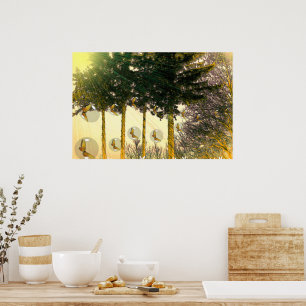 Poster Papillons dans une bulle