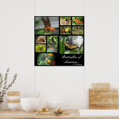 Poster Papillons de Louisiane (Cuisine)