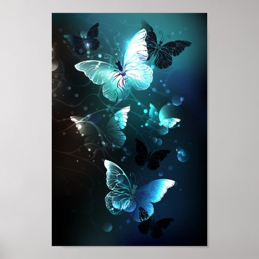 Poster Papillons de nuit (Devant)
