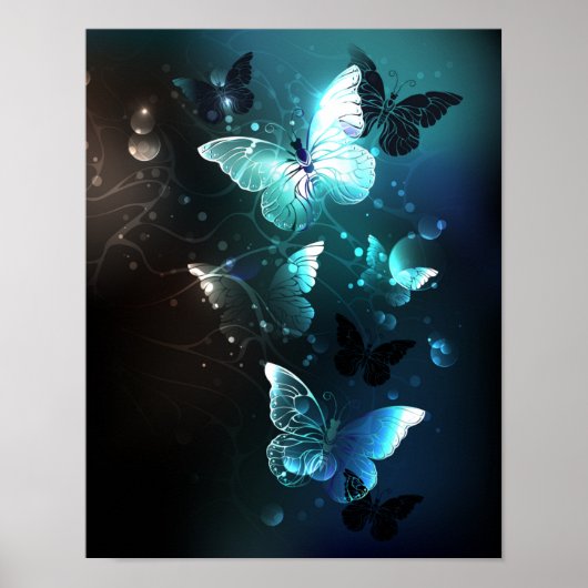 Poster Papillons de nuit (Devant)