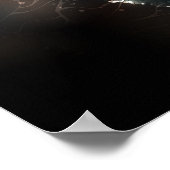 Poster Papillons de nuit (Coin)